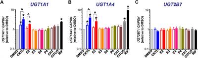 Pregnancy-Related Hormones Increase UGT1A1-Mediated Labetalol Metabolism in Human Hepatocytes